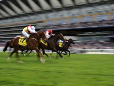 The Royal Ascot Placepot could pay well on Wednesday